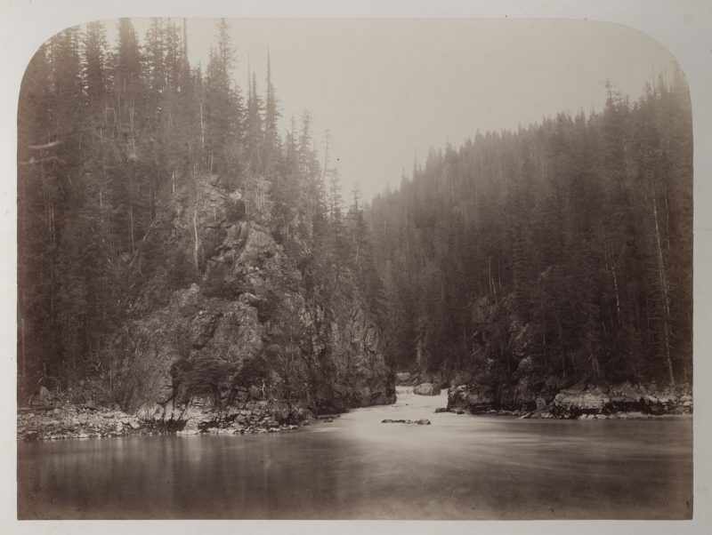 A mountain flanks a river with logs along the edges.